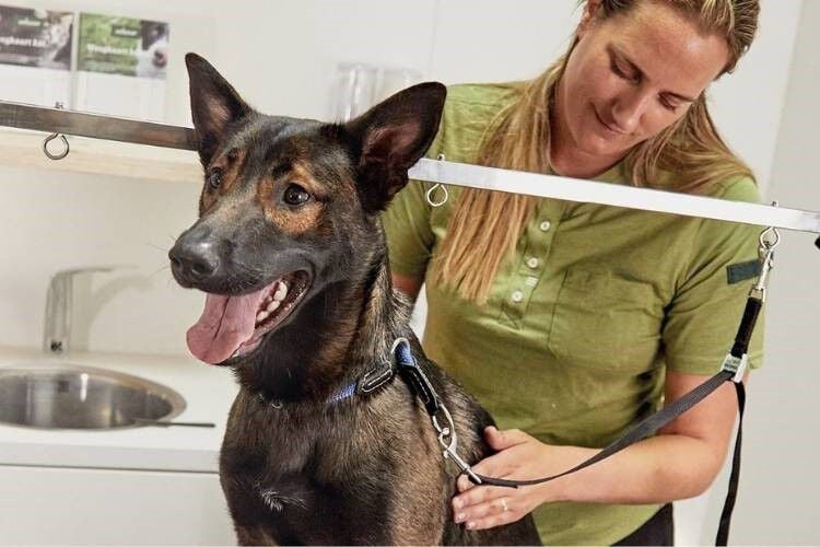 Jouw dierspecialist in de buurt. Jouw dierspecialist in de buurt.